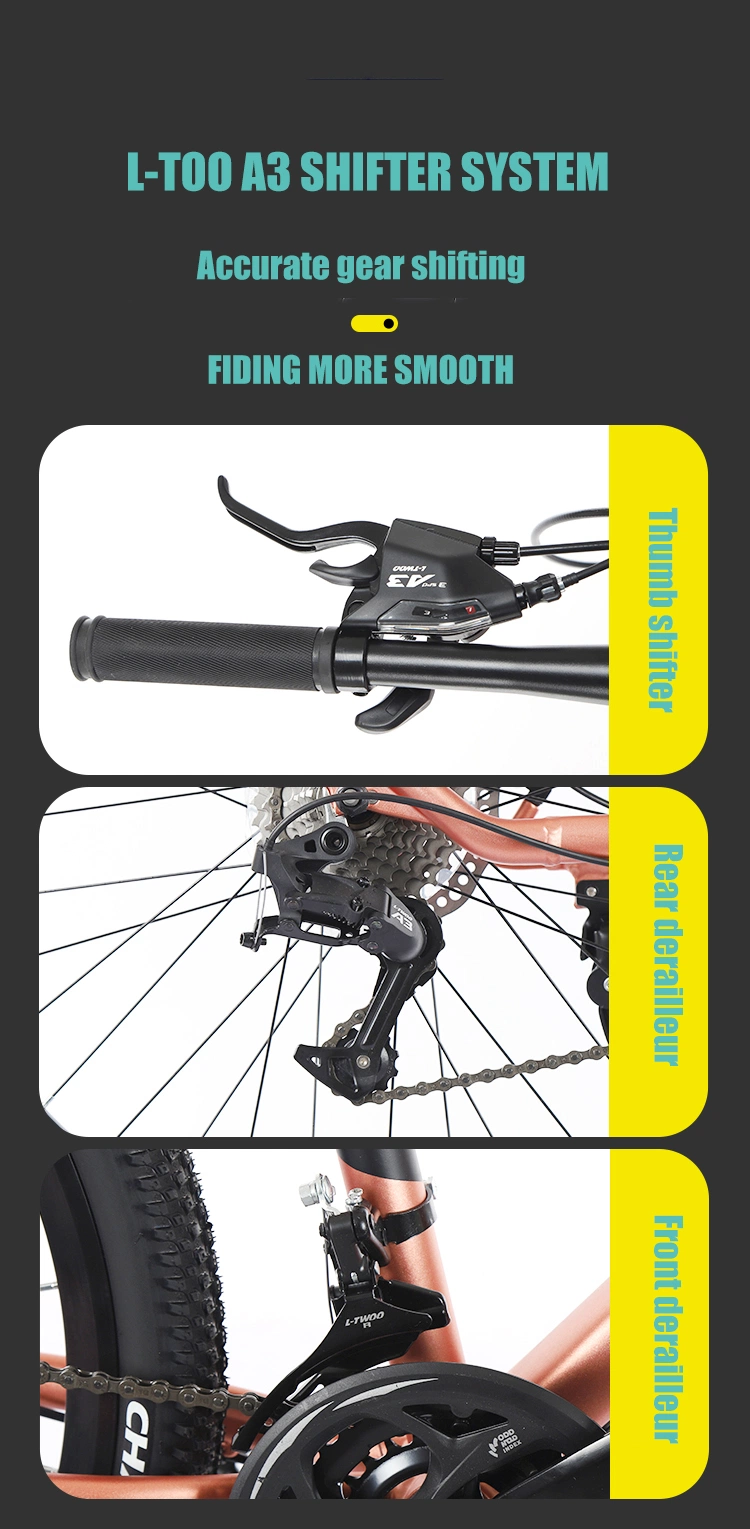 27.5 Zoll Leichtes Aluminium Mountainbike Alloy Fork Downcountry Mountainbike 4